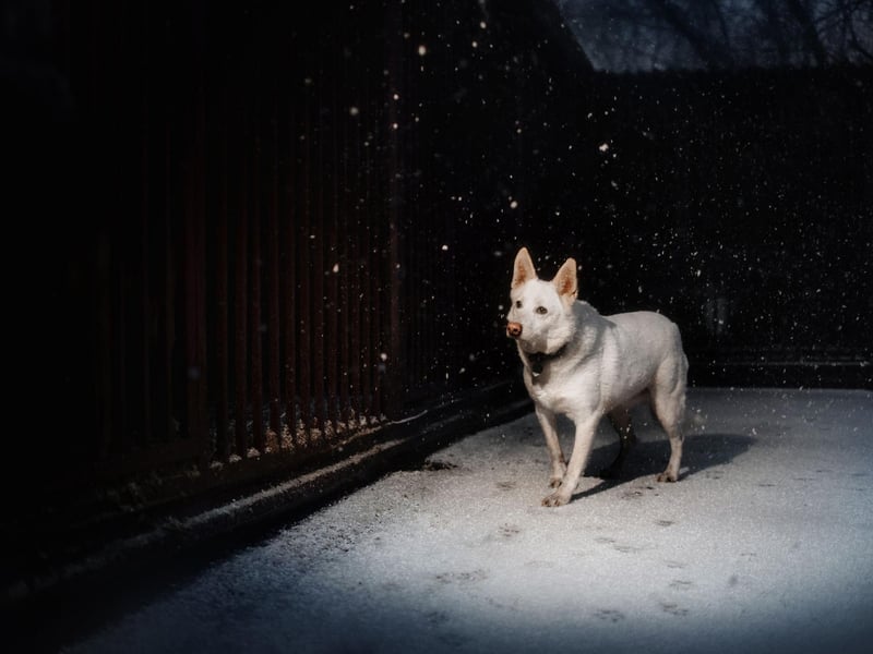 "Whether you're walking alone, letting someone know where you're going and how long you'll be is never a bad idea - even in the depths of summer. Sometimes things don't go as planned and having someone as back up is better than having no one."