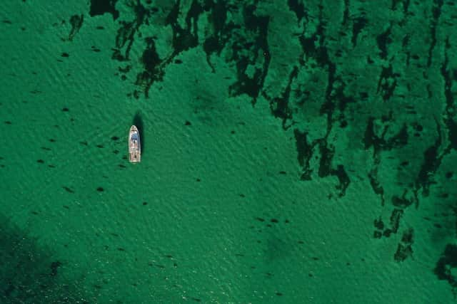 A vast meadow of seagrass, an important habitat for storing climate-warming carbon and providing nursery grounds for marine creatures, has been mapped for the first time in waters off the coast of Papa Westray in Orkney. Picture: Open Seas