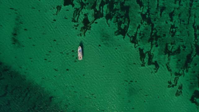 A vast meadow of seagrass, an important habitat for storing climate-warming carbon and providing nursery grounds for marine creatures, has been mapped for the first time in waters off the coast of Papa Westray in Orkney. Picture: Open Seas