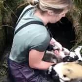 Farmer Marian Porter, 26, crawled 20ft into a tunnel filled with water to rescue two lambs. Picture: Gary Thornborrow and Marian Porter/SWNS