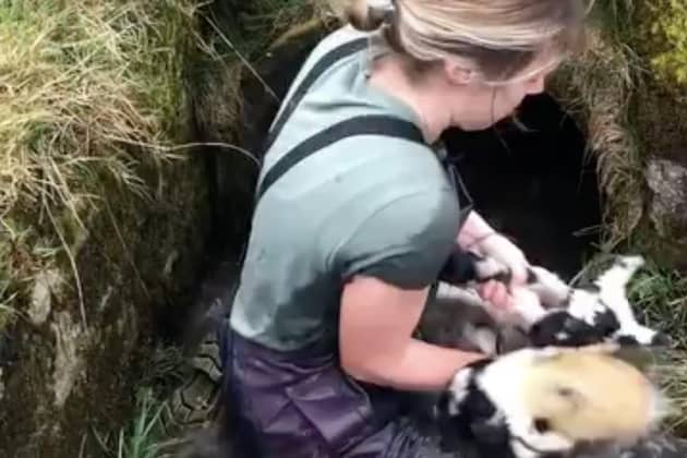 Farmer Marian Porter, 26, crawled 20ft into a tunnel filled with water to rescue two lambs. Picture: Gary Thornborrow and Marian Porter/SWNS