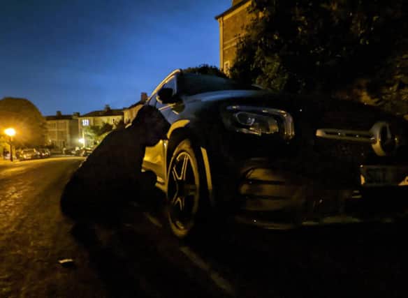 Tyre Extinguishers members have been vandalising cars in the dead of night