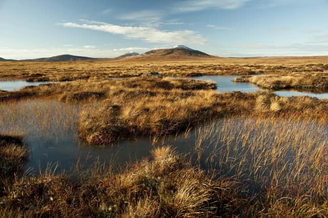 The Flow Country, which stretches across Caithness and Sutherland is tipped to become a world heritage site with the decision being made next year