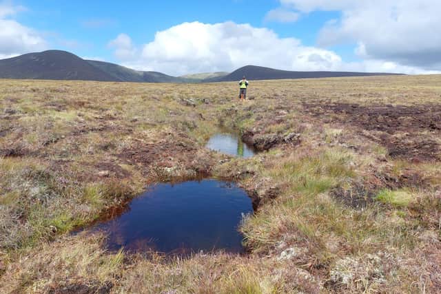Durrell Wildlife Conservation Trust begins first major phase of rewilding project at Dalnacardoch Estate
