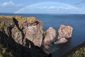 The Berwick Bank offshore wind farm would see 304 giant turbines built in the outer Firth of Forth, around 22 miles away from St Abbs head national nature reserve – an important breeding ground for globally significant seabird species. Picture: NTS