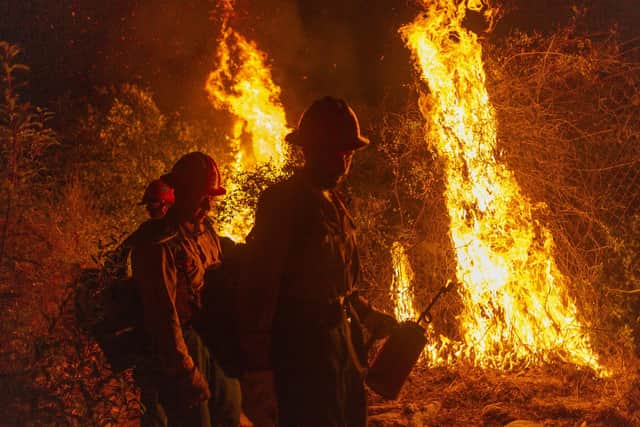 Tangible signs of climate change are increasing around the world (Picture: David McNew/Getty Images)