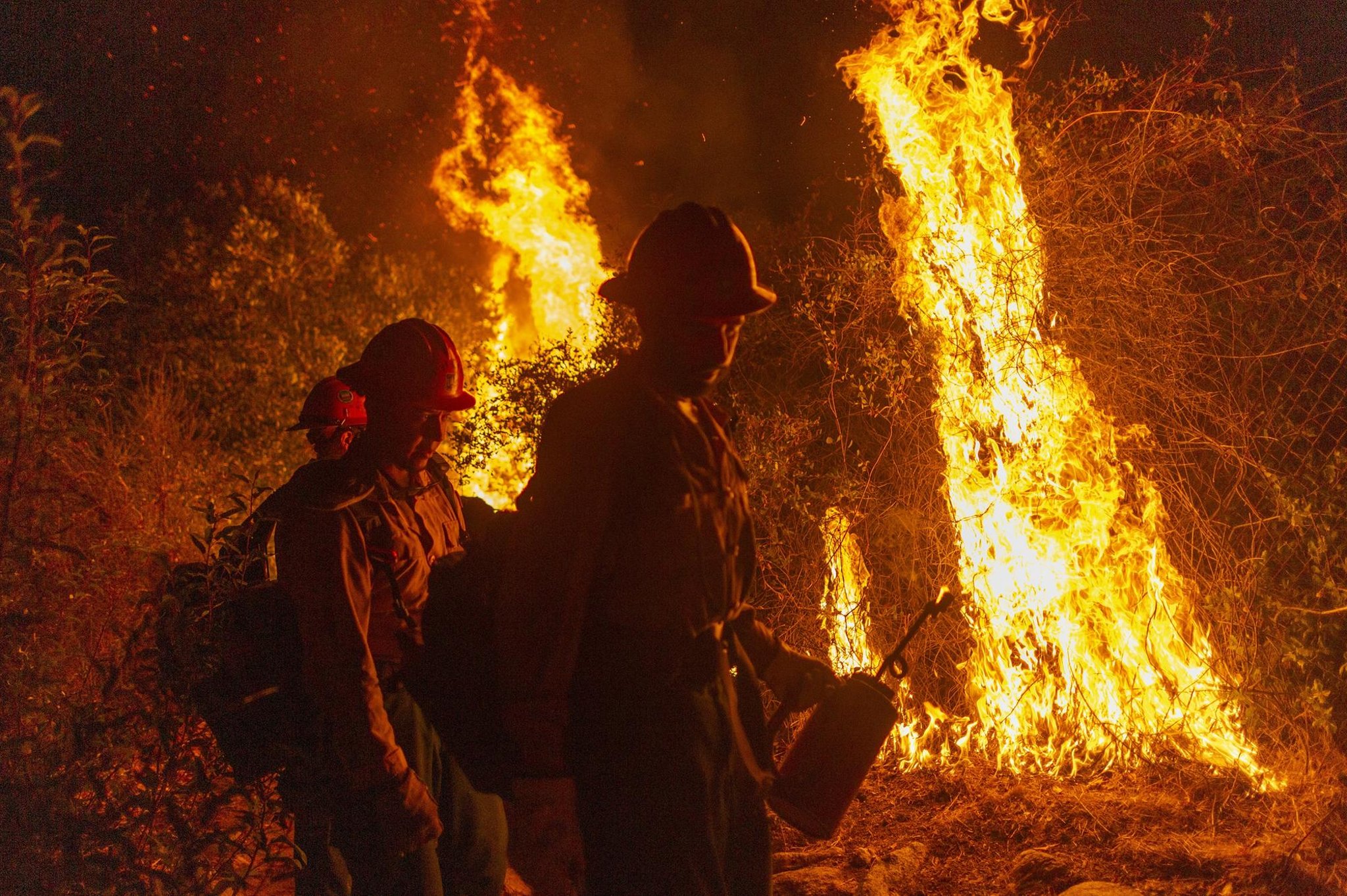 Ukraine War and other major crises must not be used to distract us from need to act on climate change – Scotsman comment - The Scotsman