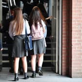 The EIS has hit out at plans to resume school inspections.
