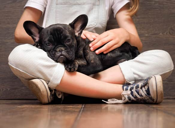 These are the pooches that make the best lapdogs.