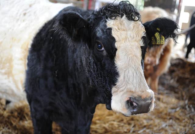 Are British farmers being placed at a disadvantage?