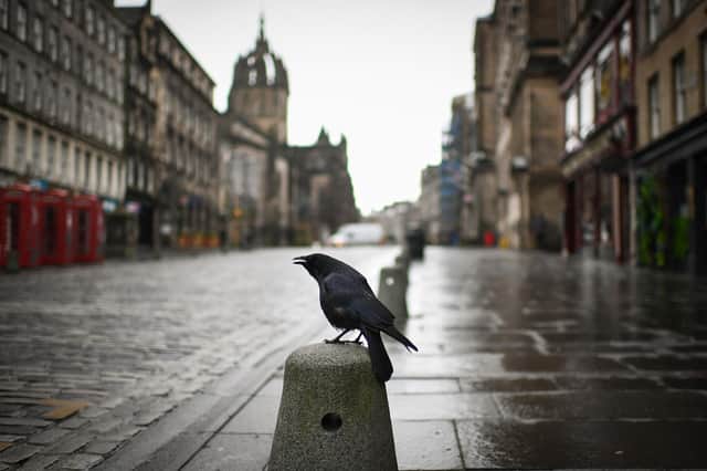 Edinburgh is one of four Scottish cities where older cars look set to be banned (Photo by Jeff J Mitchell/Getty Images)
