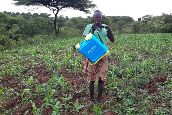 Farmer Bodo Ayiso, whose crops were eaten by the locusts.