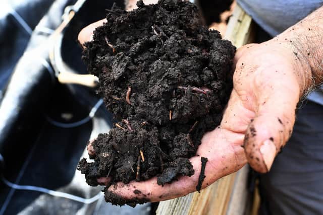 Worms are key to healthy, fertile soil (Picture: Anne-Christine Poujoulat/AFP via Getty Images)