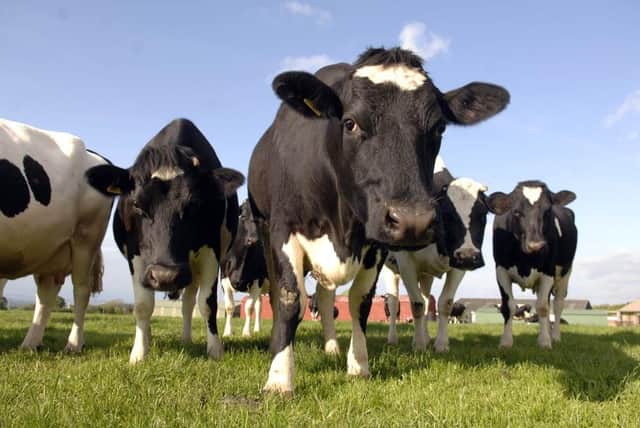 Dairy farmers supplying First Milk have been asked to complete an individual Regenerative Farming Plan.