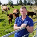 Bryce Cunningham, farmer and owner of Mossgiel Organic Farm near Mauchline is pictured in a field with some of his herd of Ayrshire cows.