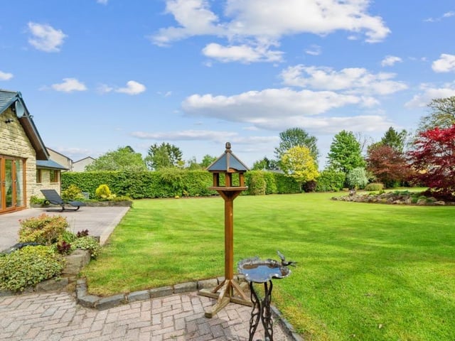 Rear garden.
