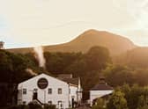 Glengoyne was founded in 1833 at Dumgoyne, north of Glasgow, and is the first Scottish distillery to adopt a wetlands facility for 100 per cent of its liquid waste