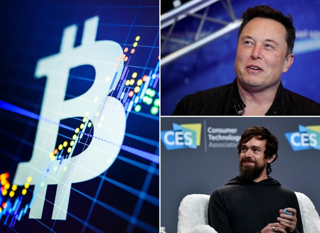 The B Word: What time is the huge Bitcoin conference today? Is Elon Musk speaking? (Images: Getty Images)