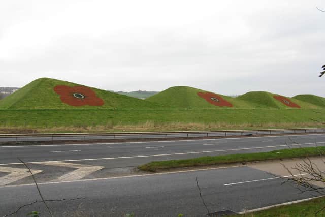 Sheep were eventually allowed to graze on the sculpture, keeping the grass short and adhering to the environmental aspect of it. The pyramid shape of the ramps provided a name for the nearby Pyramids Business Park and in April 2007, a local farmer dyed the sheep red using a harmless sheep spray. Giant poppies are often painted on the Sawtooth Ramps for Remembrance Day.