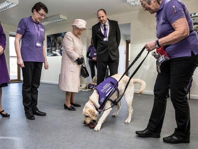 Sadly Willow, the last Corgi in this long line of royal pups, passed away in 2018. But before her passing, Willow got to make her acting debut with fellow corgis Monty and Holly, who appeared alongside Her Majesty and Daniel Craig for a sketch for the 2012 Olympics opening ceremony.