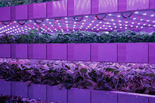 Vertical farming, originally developed by Nasa scientists as a potential way to grow food for astronauts in space, involves rearing crops indoors in upright stacked layers, with the environment strictly controlled to optimise plant growth