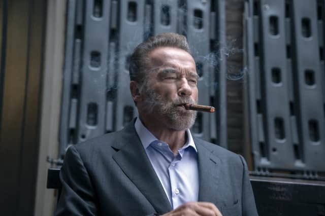 Arnold Schwarzenegger in Fubar