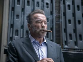 Arnold Schwarzenegger in Fubar