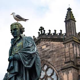 A gull perched atop the statue of Adam Smith in Edinburgh's High Street (Picture: stock.adobe.com)