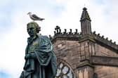 A gull perched atop the statue of Adam Smith in Edinburgh's High Street (Picture: stock.adobe.com)
