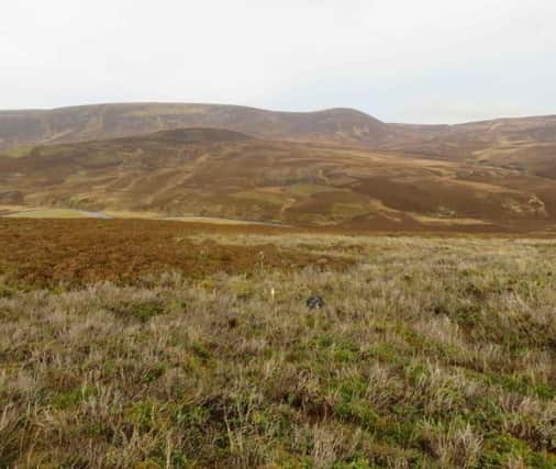 The mast location site looking towards Daldownie and the River Gairn. (Pic:Cornerstone)