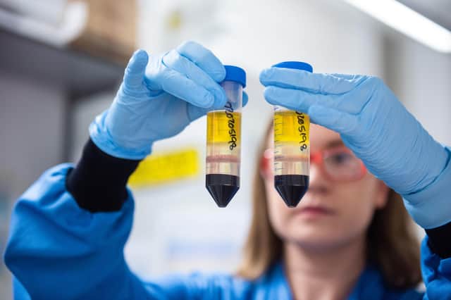 A researcher in a laboratory at the Jenner Institute working on the coronavirus vaccine developed by AstraZeneca and Oxford University. Picture: John Cairns/University of Oxford/PA Wire