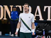 Andy Murray celebrates victory against Australia's Thanasi Kokkinakis after a five-set epic at the Australian Open. (Photo by WILLIAM WEST/AFP via Getty Images)
