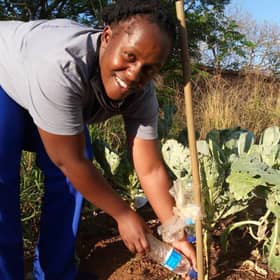 Vivian Chisenga, a Camfed Association member and core trainer of agriculture guides in Zimbabwe, demonstrates a drip irrigation technique using recycled plastic bottles. Picture: Sinikiwe Makove/CAMFED