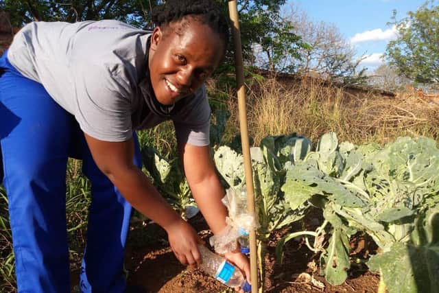Vivian Chisenga, a Camfed Association member and core trainer of agriculture guides in Zimbabwe, demonstrates a drip irrigation technique using recycled plastic bottles. Picture: Sinikiwe Makove/CAMFED