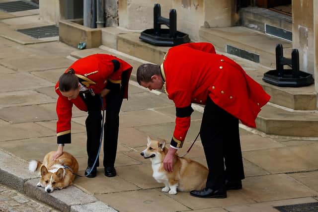 The Queen's two corgis, Muick and Sandy, are seen during the Ceremonial Procession through Windsor Castle to a Committal Service at St George's Chapel. Picture date: Monday September 19, 2022.