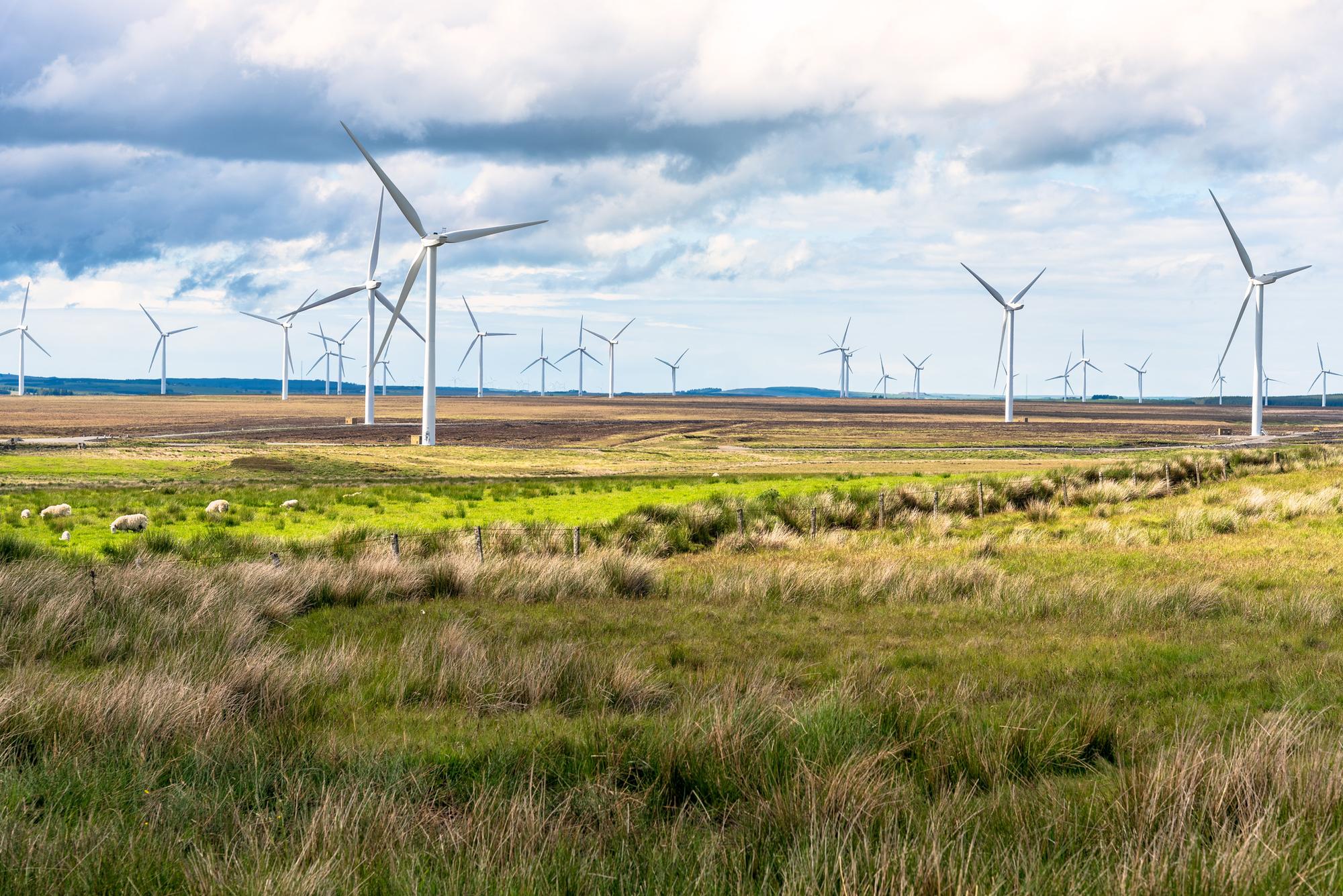 Why the renewable energy battle is all about SNP blame shifting