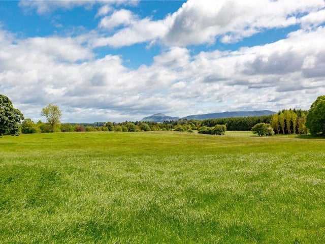 Large field.
