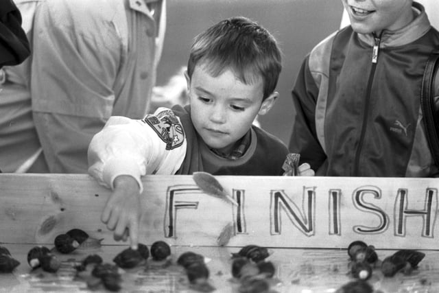 A little boy watches the snail race at Glasgow Garden Festival in July 1988.