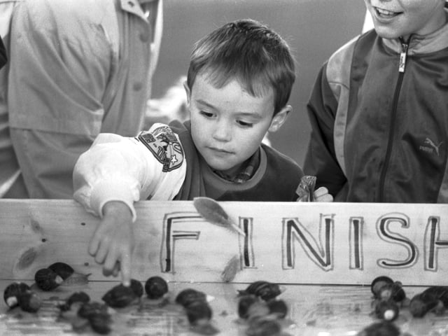 A little boy watches the snail race at Glasgow Garden Festival in July 1988.