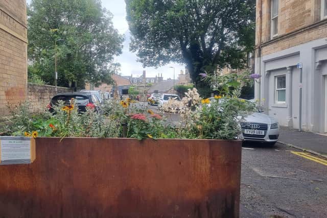 Tracy is the Head Gardener of the Arthur Street planter