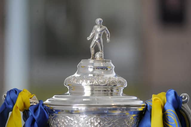 Picture Michael Gillen - SFA Scottish Cup trophy