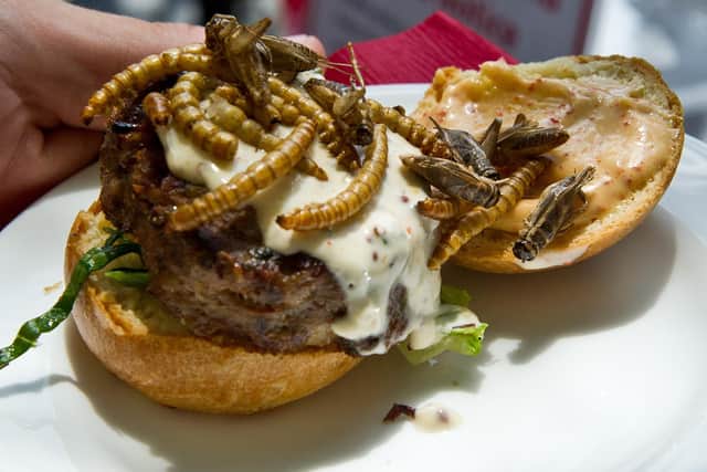 Anyone for a grasshopper burger with extra mealworms? (Picture: Karen Bleier/AFP via Getty Images)