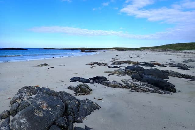 One of the globe-trotting entomologist's favourite adventures was a trip to Balranald in North Uist to track down the very rare great yellow bumblebee. Picture: Dr George McGavin