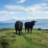 Tha atharrachadh a’ tighinn, agus ‘s e rud math a bhios ann.