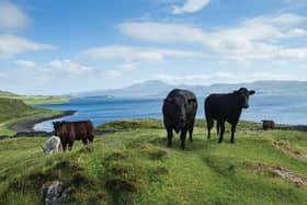 Tha atharrachadh a’ tighinn, agus ‘s e rud math a bhios ann.