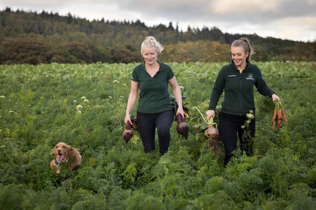 Carrots, neeps and beetroot grown by Marshall’s have been used in creating the spirit.