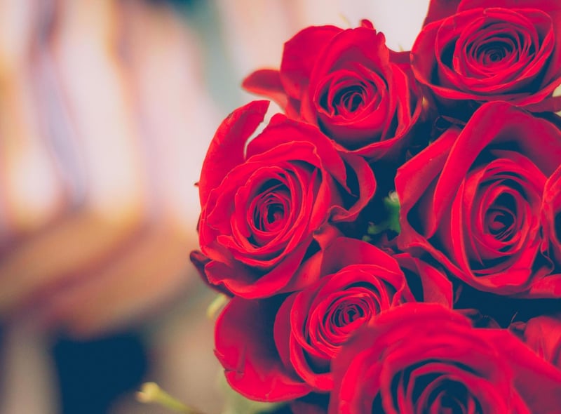 Starting "My luve is like a red red rose, That's newly sprung in june; O my Luve's like the melodie, That's sweetly play'd in tune", the romantic 'A Red, Red Rose' is verse based on traditional sources that Burns gave to Scots singer Pietro Urbani who published it in his book of 'Scots Songs'. Burns himself called it "a simple old Scots song which I had picked up in the country". There have been numerous versions over the years, including by Pat Boone, Eddie Reader, Camera Obscura, Eva Cassidy and Carly Simon.