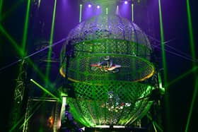 A one-of-a-kind performance, featuring the most talented dare devil performers from across the globe
