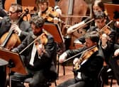 The RSNO PIC: Chris Hart