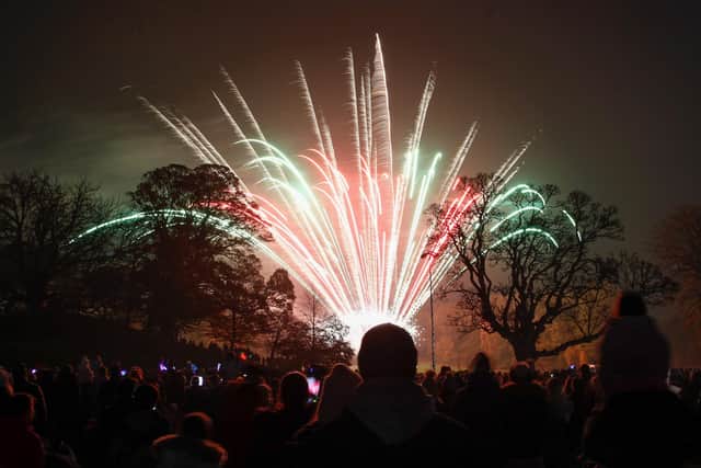 The popular public firework display will go ahead in November at Callendar Park. Image: Michael Gillen